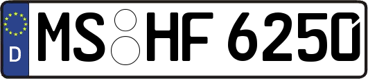 MS-HF6250