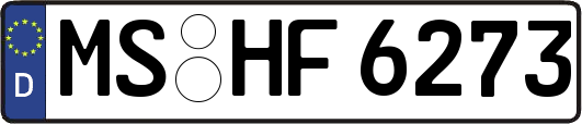 MS-HF6273