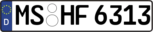 MS-HF6313