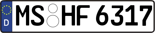 MS-HF6317