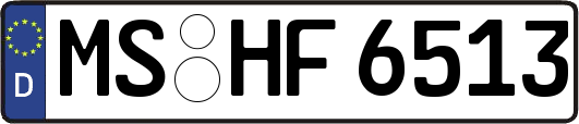 MS-HF6513