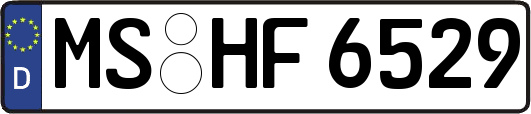 MS-HF6529