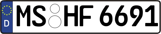 MS-HF6691
