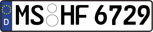 MS-HF6729