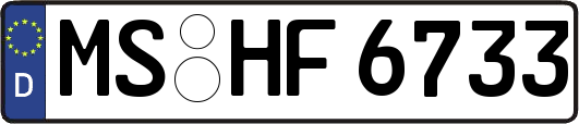 MS-HF6733