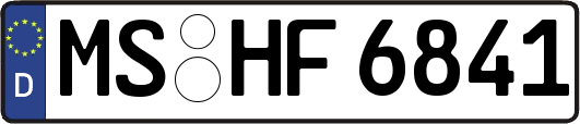 MS-HF6841