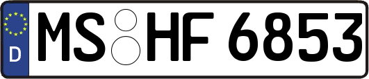 MS-HF6853