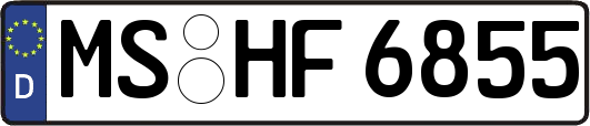 MS-HF6855
