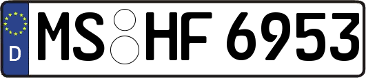 MS-HF6953