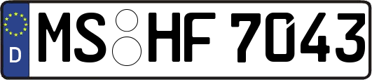 MS-HF7043