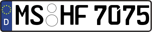 MS-HF7075