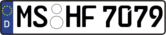 MS-HF7079