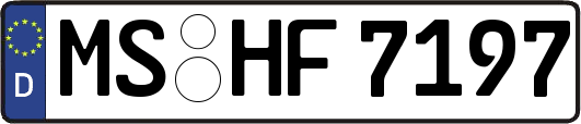 MS-HF7197