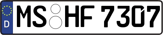 MS-HF7307
