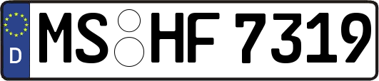 MS-HF7319