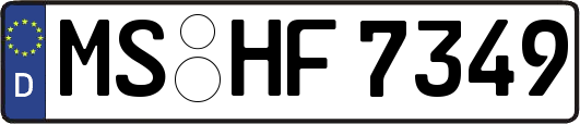 MS-HF7349