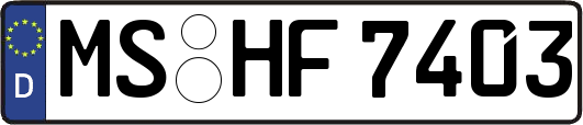 MS-HF7403