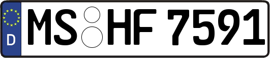 MS-HF7591