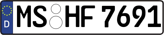 MS-HF7691