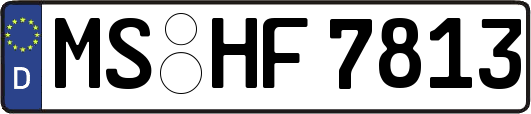 MS-HF7813