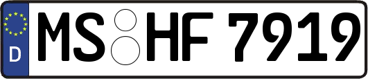 MS-HF7919