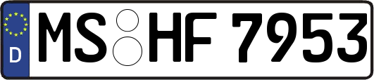 MS-HF7953