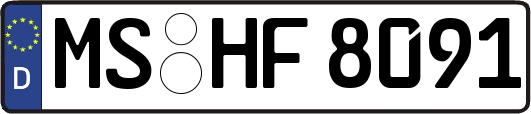 MS-HF8091