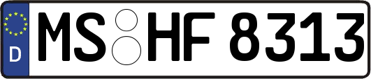 MS-HF8313
