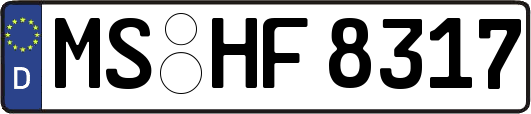 MS-HF8317