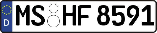 MS-HF8591