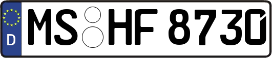 MS-HF8730