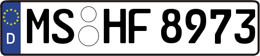 MS-HF8973