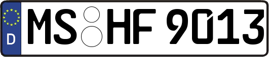 MS-HF9013