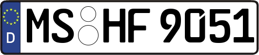 MS-HF9051