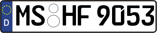 MS-HF9053