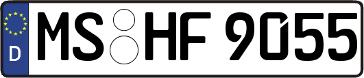 MS-HF9055