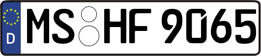 MS-HF9065