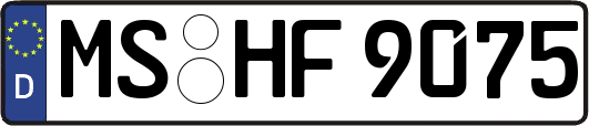 MS-HF9075