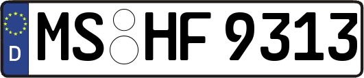 MS-HF9313