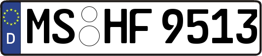 MS-HF9513