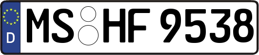 MS-HF9538