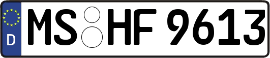 MS-HF9613