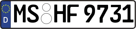MS-HF9731