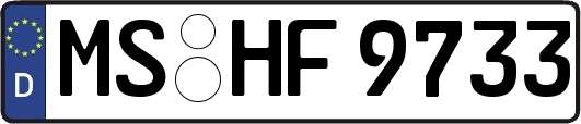 MS-HF9733
