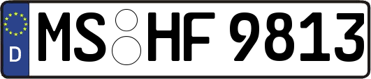MS-HF9813