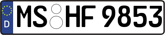 MS-HF9853