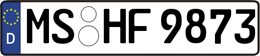 MS-HF9873