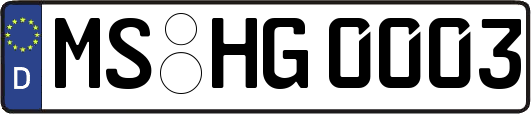 MS-HG0003