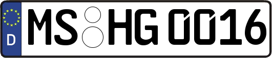MS-HG0016