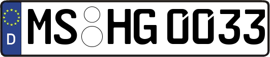 MS-HG0033
